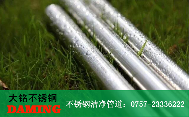榴莲视频WWW在线观看榴莲APP破解版安装包