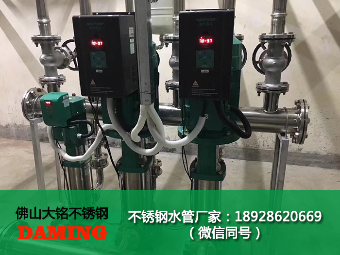 榴莲视频WWW在线观看榴莲APP破解版安装包