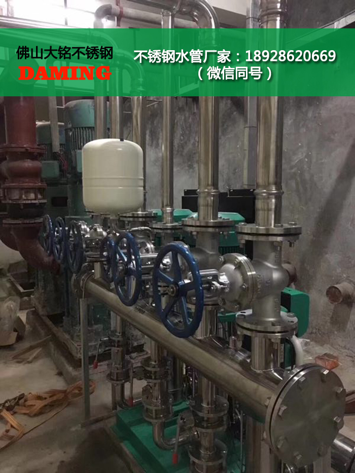 榴莲视频WWW在线观看榴莲APP破解版安装包