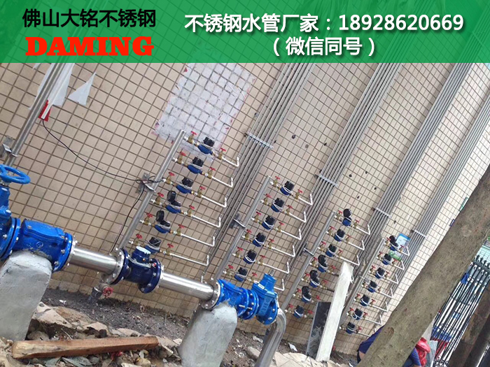 赤峰榴莲APP破解版安装包水管代理加盟
