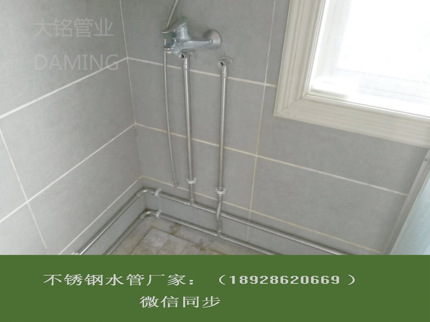 佛山雙卡壓式榴莲APP破解版安装包