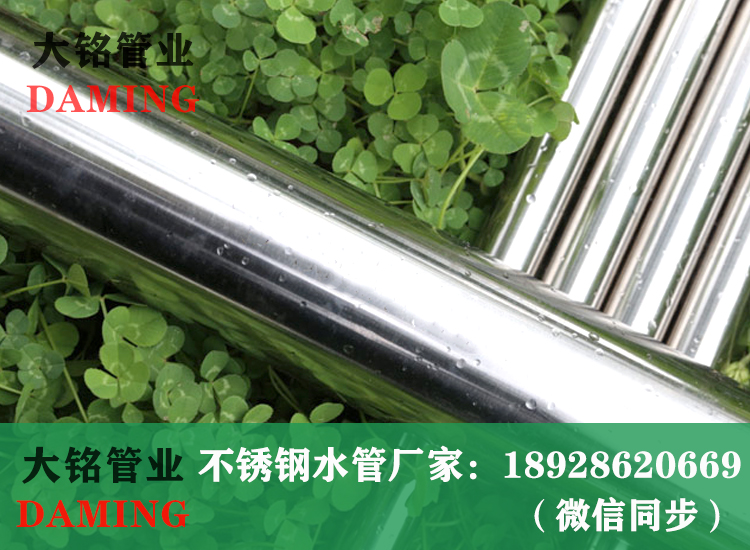 316薄壁榴莲APP破解版安装包水管