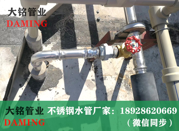 316L榴莲APP破解版安装包卡壓管