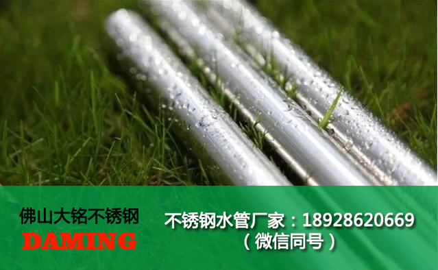 316榴莲APP破解版安装包卡壓管