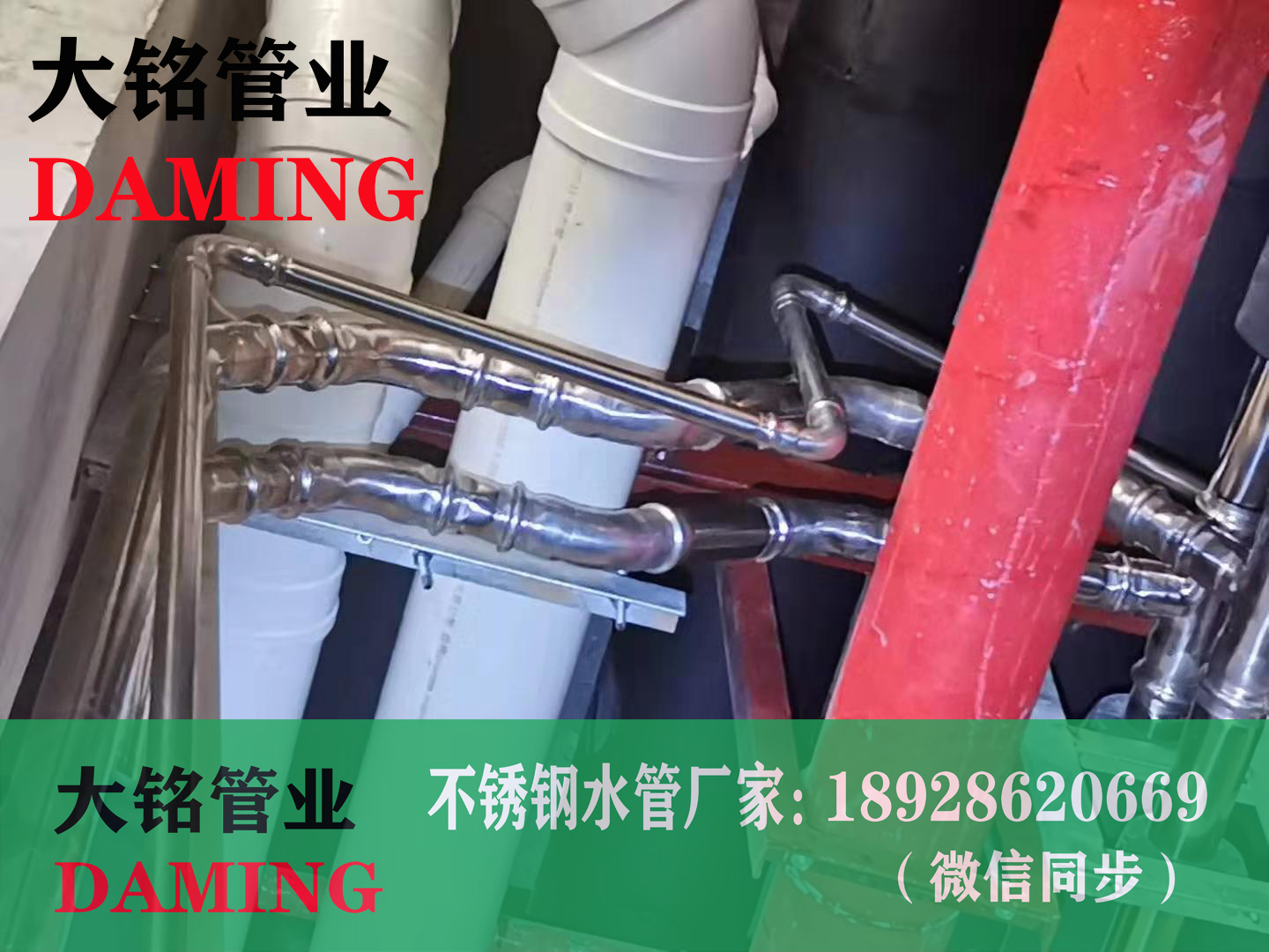 榴莲APP破解版安装包雙卡壓榴莲视频网站入口